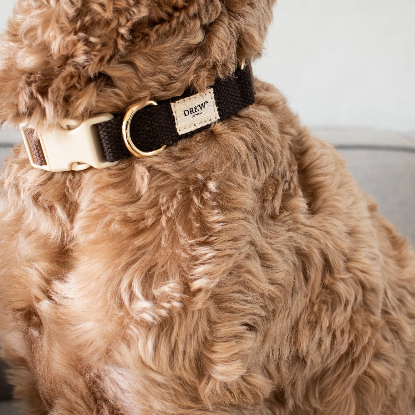 DREW'S DOGWEAR - Weiches & verstellbares Hundehalsband Chocolate - OSSO BLU