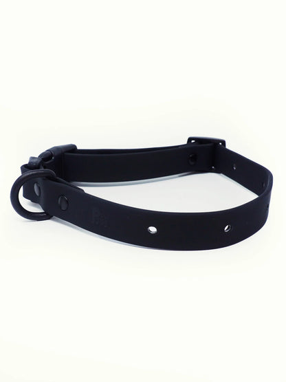 PAWPOPZ – Personalisiertes Hundehalsband - Schwarz - OSSO BLU