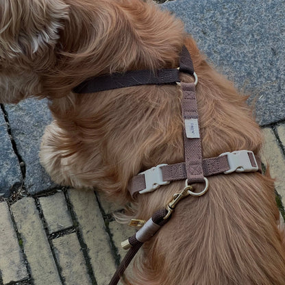 DREW'S DOGWEAR - Verstellbares Hundegeschirr Chocolate mit goldenen Details - OSSO BLU