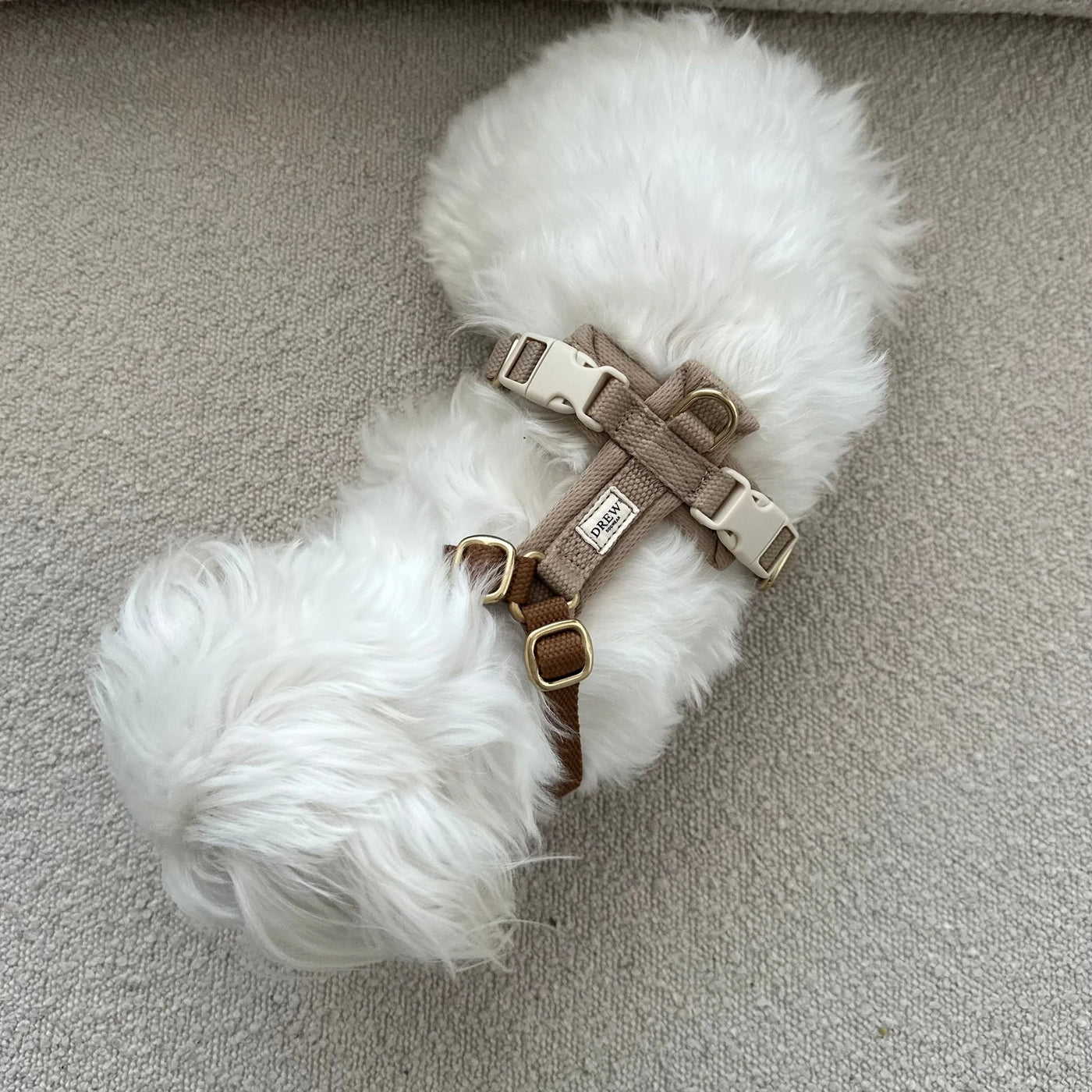 DREW'S DOGWEAR - Cortado PRO – Pettorina regolabile per cani (marrone/beige)