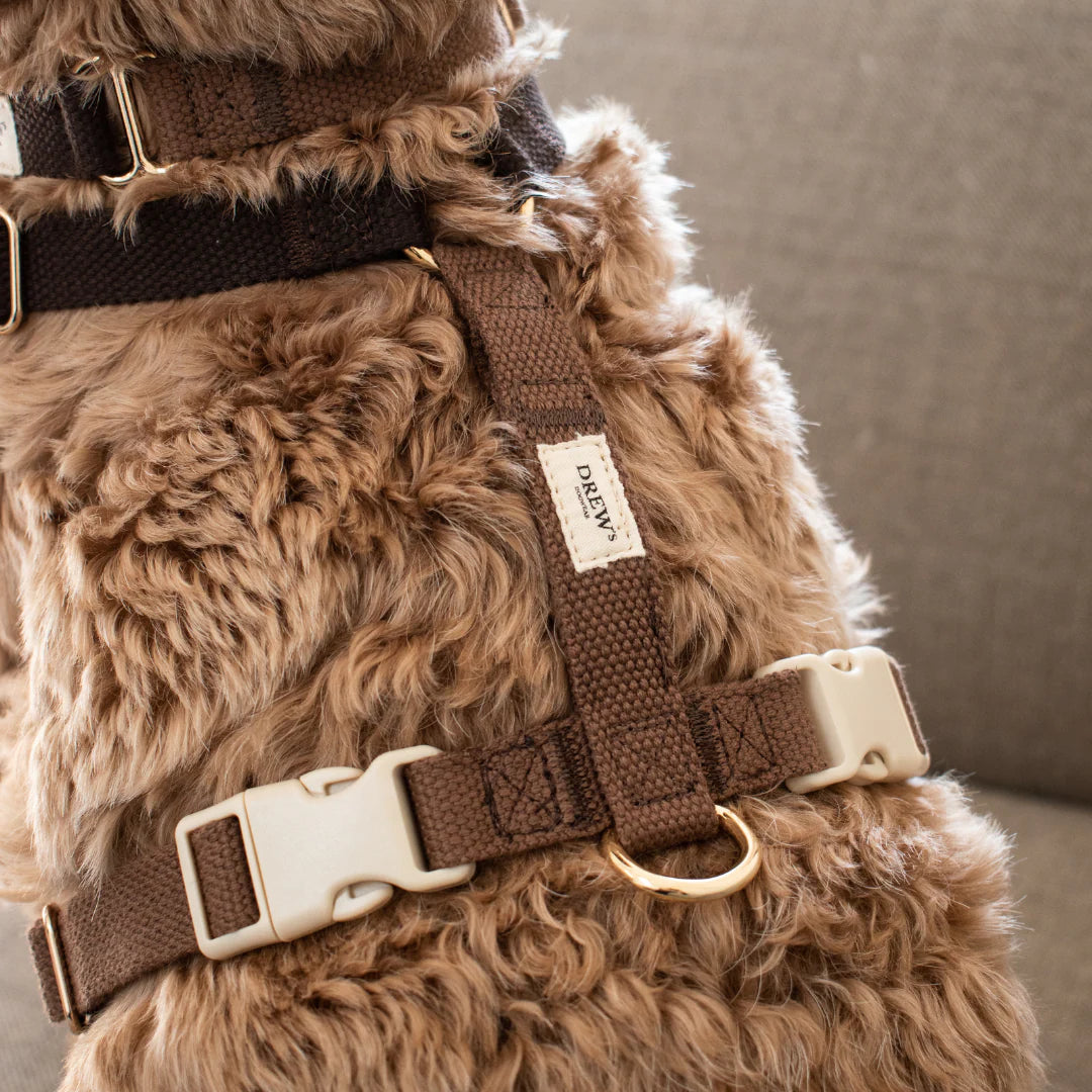 DREW'S DOGWEAR - Verstellbares Hundegeschirr Chocolate mit goldenen Details - OSSO BLU