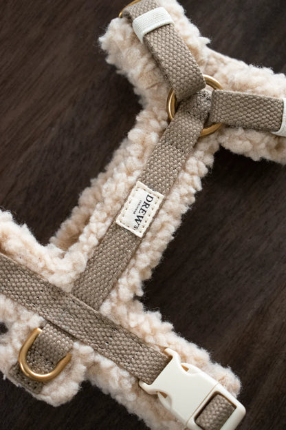 DREW'S DOGWEAR - Teddy-Geschirr - OSSO BLU