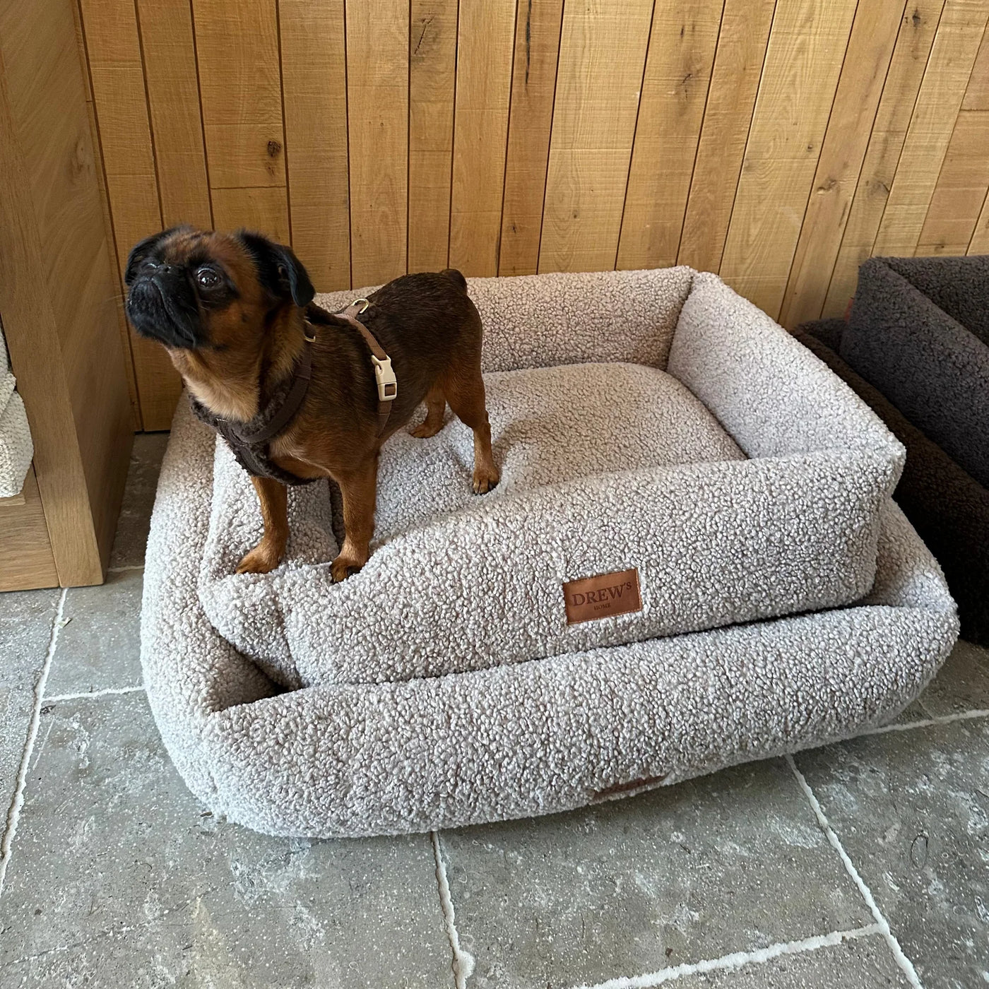 DREW'S DOGWEAR - Cuccia ortopedica in pile Teddy per cani con memory foam, colore talpa