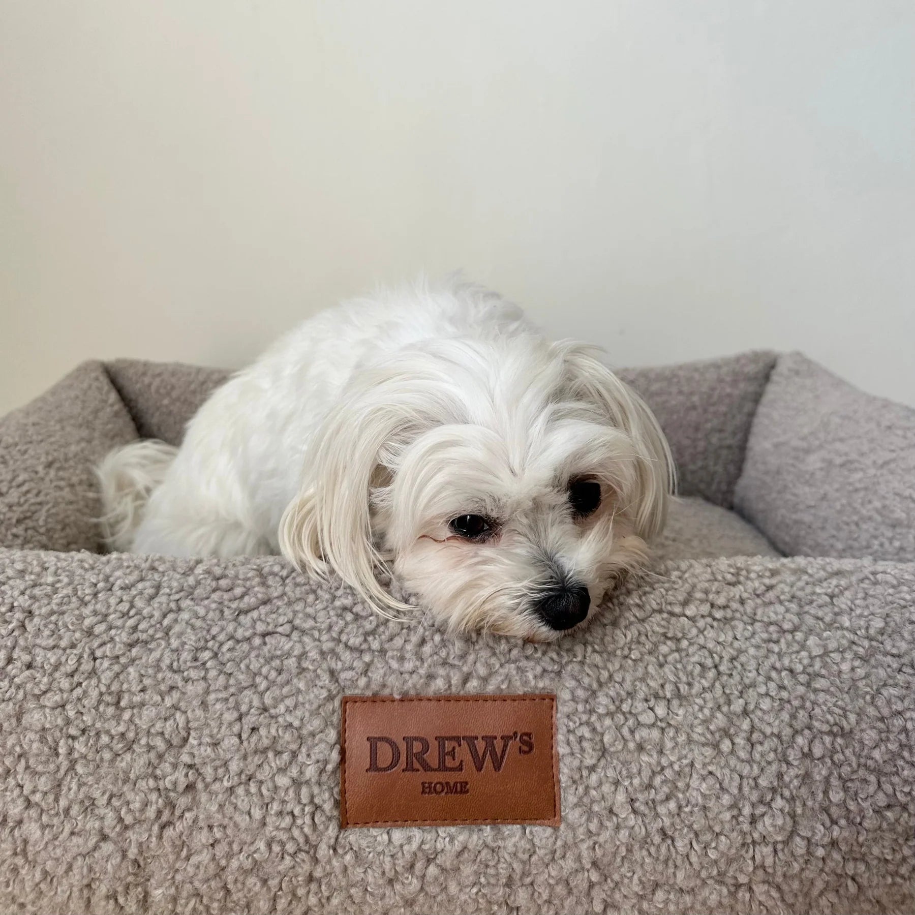DREW'S DOGWEAR - Orthopädisches Teddy-Hundebett mit Memory-Schaum in Taupe - OSSO BLU