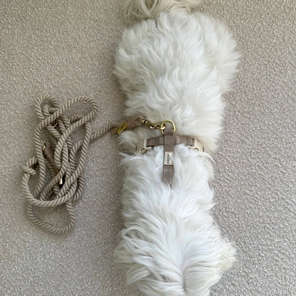 DREW'S DOGWEAR - BEIGE/ Verstellbare und weiche Hundeleine - OSSO BLU