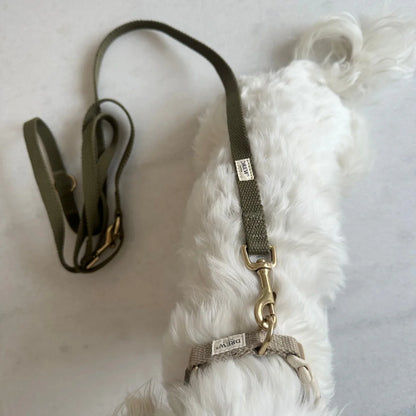 DREW'S DOGWEAR - Verstellbare Hundeleine aus Baumwolle – Olivgrün (2 Meter) - OSSO BLU