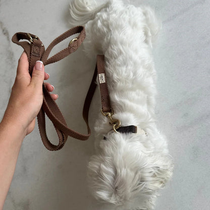 DREW'S DOGWEAR - Verstellbare Hundeleine aus Baumwolle – Braun (2 Meter) - OSSO BLU