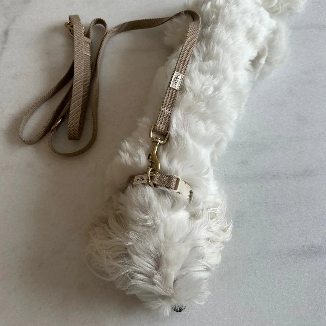 DREW'S DOGWEAR - Verstellbare Hundeleine aus Baumwolle – Beige (2 Meter) - OSSO BLU