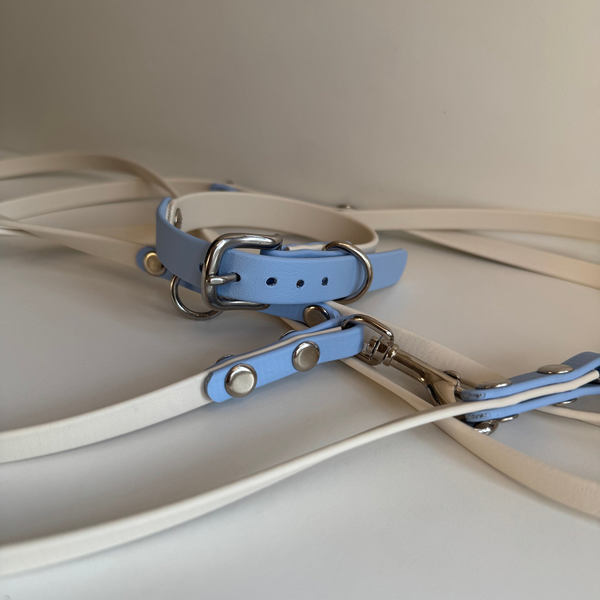 DACHSHUND & FRIENDS – BioThane® Leine (Creme/Blau – 9mm, Crossbody 2,40m) - OSSO BLU