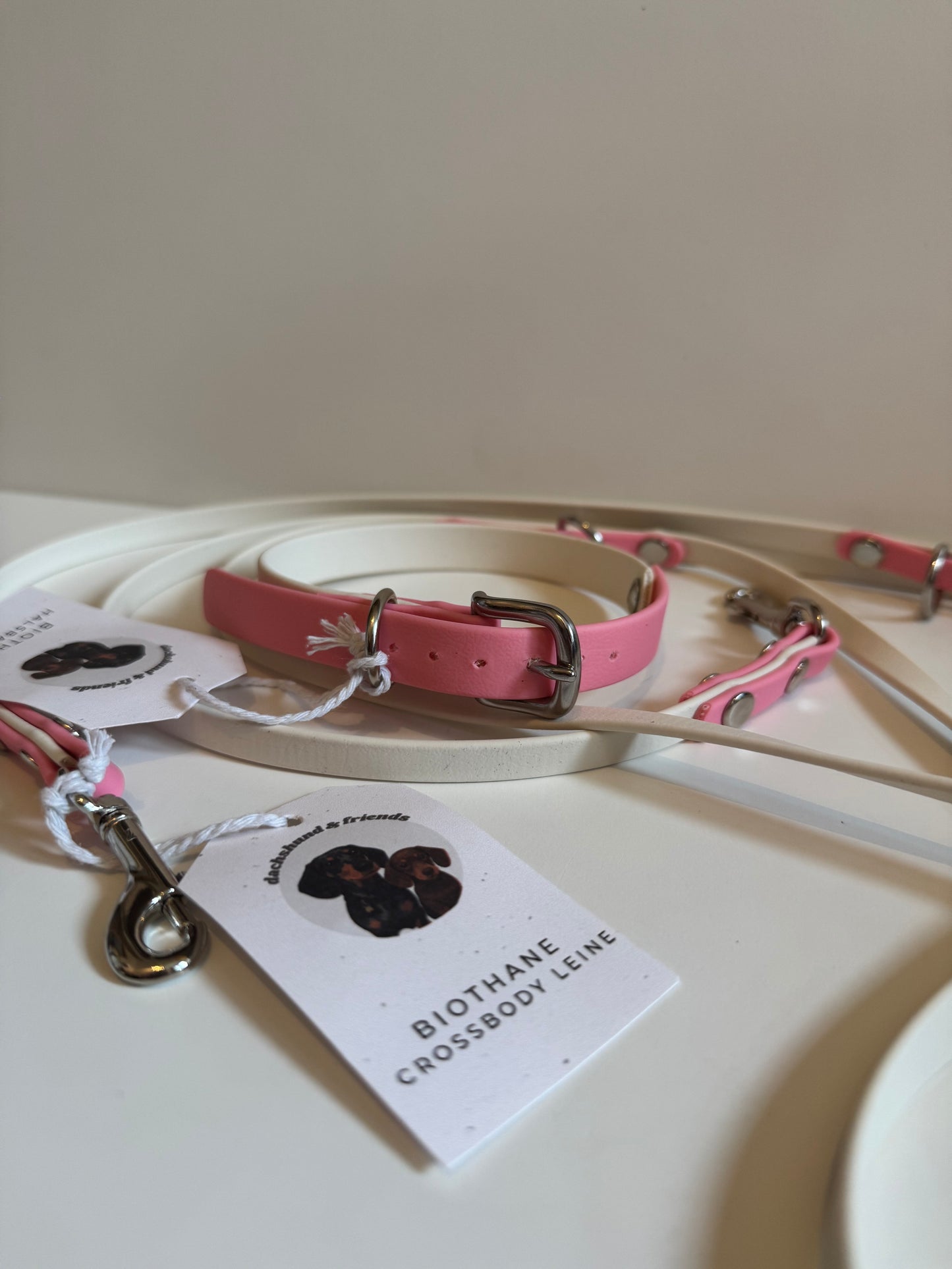 DACHSHUND & FRIENDS – BioThane® Halsband (Creme/Rosa – 16 mm) - OSSO BLU