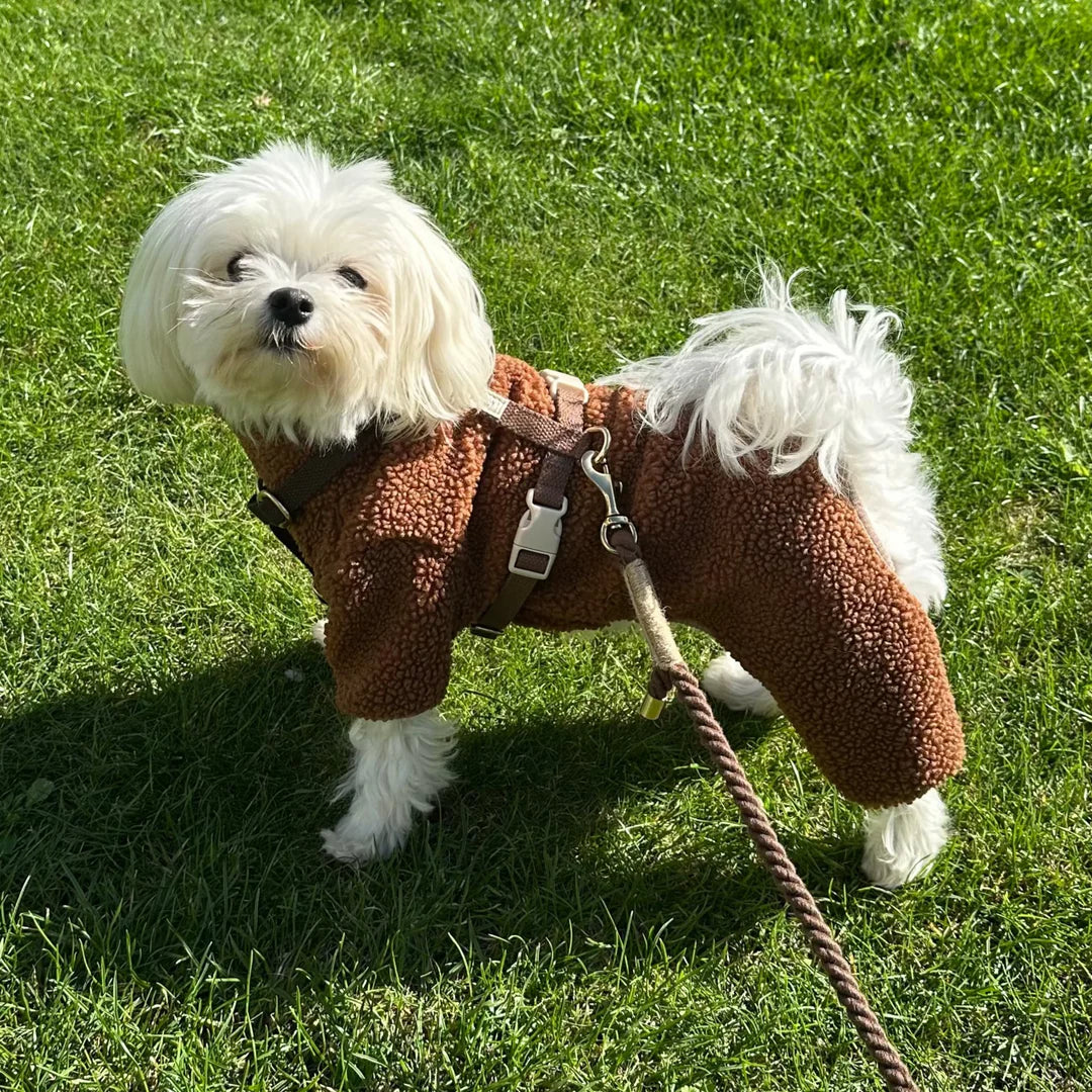 DREW'S DOGWEAR - MILO // Hundepullover aus weichem Teddymaterial – Braun - OSSO BLU