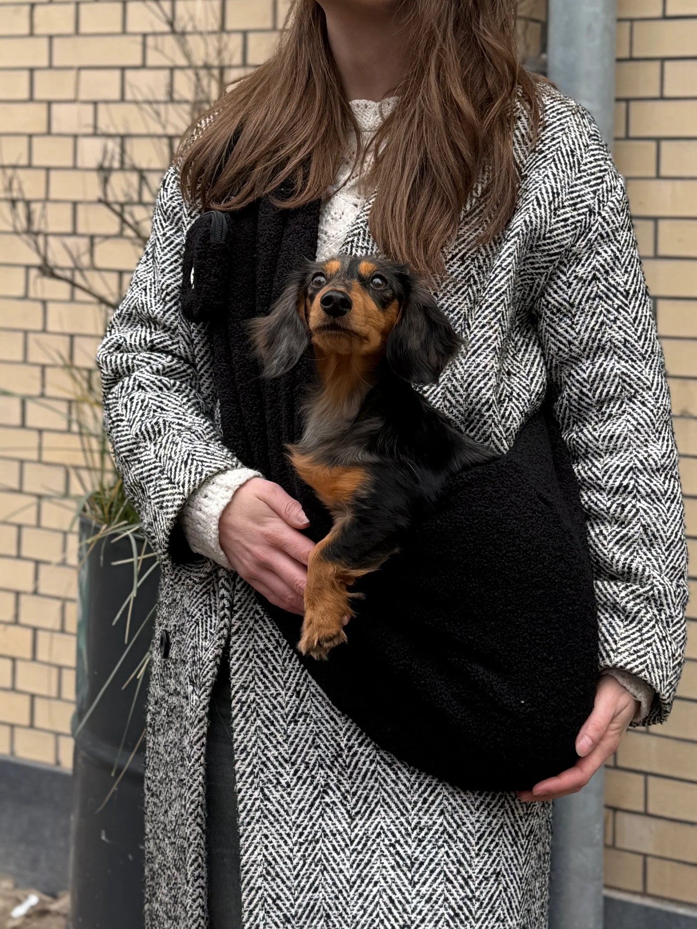 THE DOG LABEL – Teddy Bag – Nero