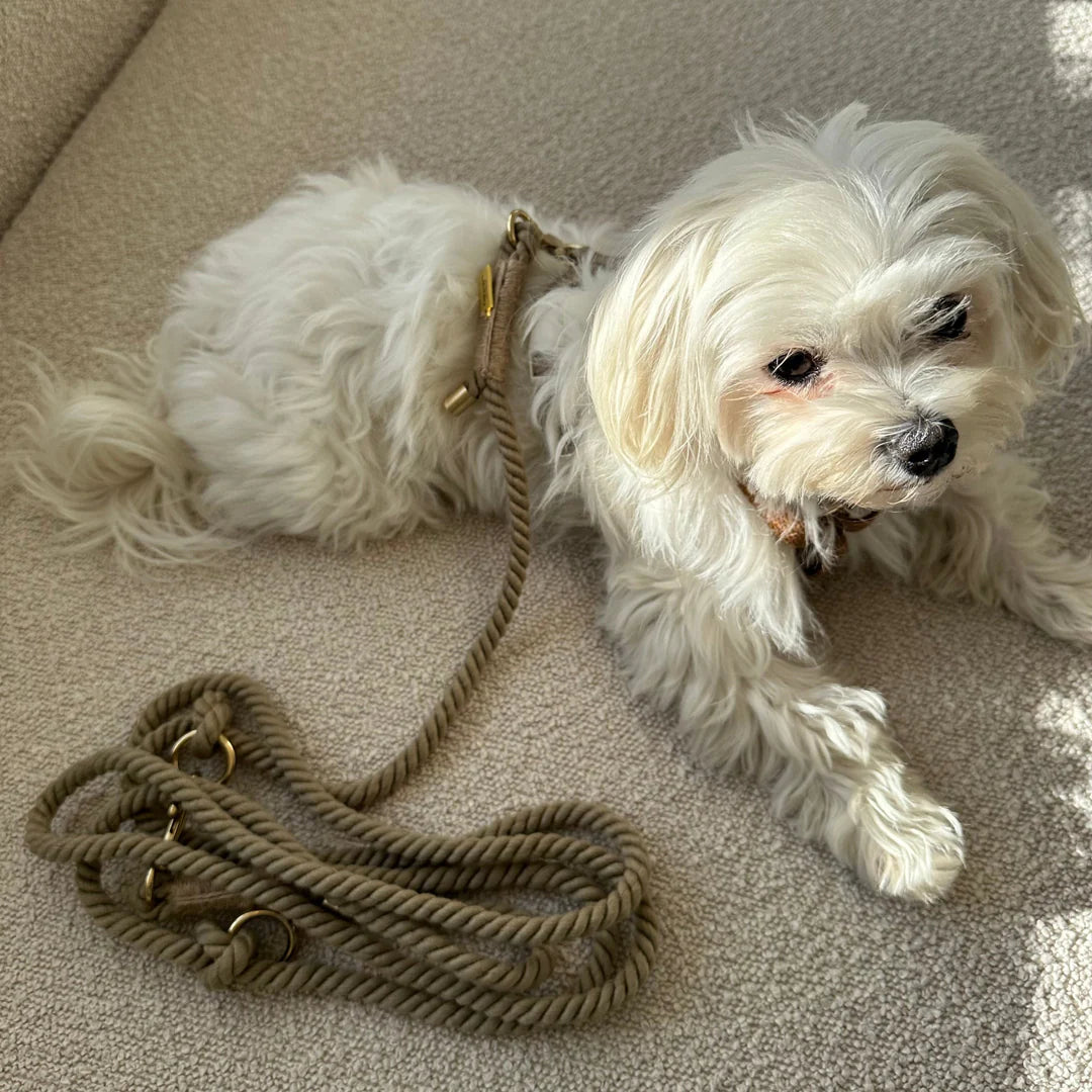 DREW'S DOGWEAR - KHAKI / Guinzaglio regolabile e morbido per cani