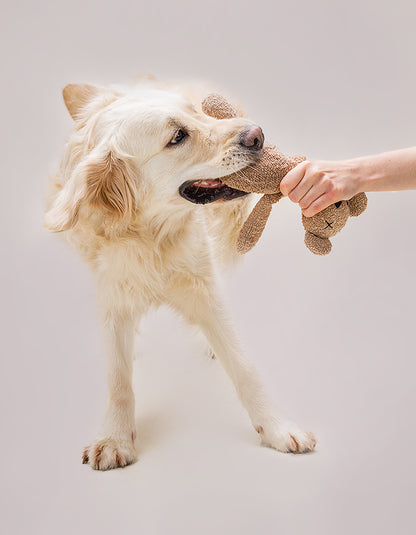 LILLABEL - Plüschspielzeug für Hunde – Teddybär BERTY - OSSO BLU