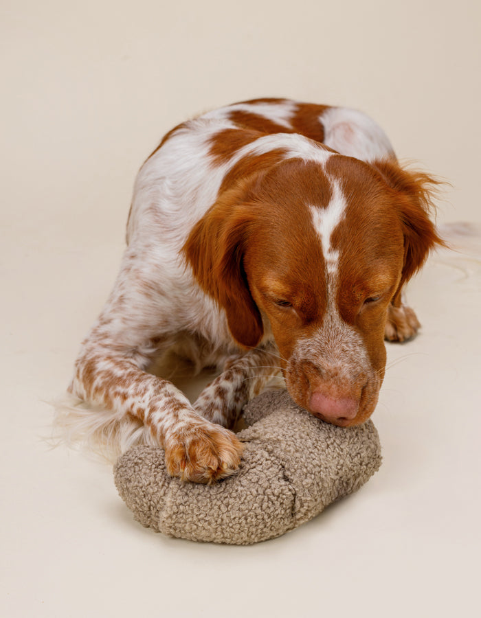 LILLABEL - Schnüffelspielzeug für Hunde – CROISSANT - OSSO BLU