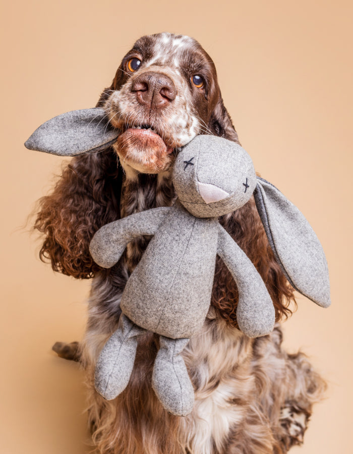 LILLABEL - Plüschspielzeug für Hunde – Hase RUPERT - OSSO BLU