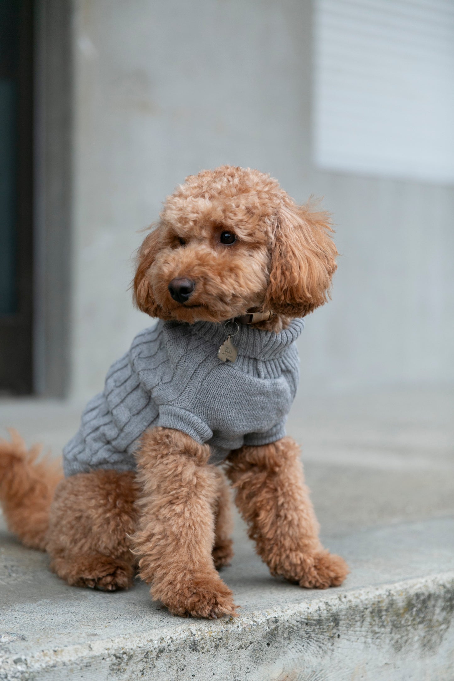 OSSO BLU - Hundepullover aus Wolle in Grau - OSSO BLU