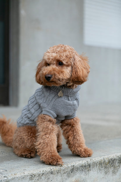 OSSO BLU - Hundepullover aus Wolle in Grau - OSSO BLU