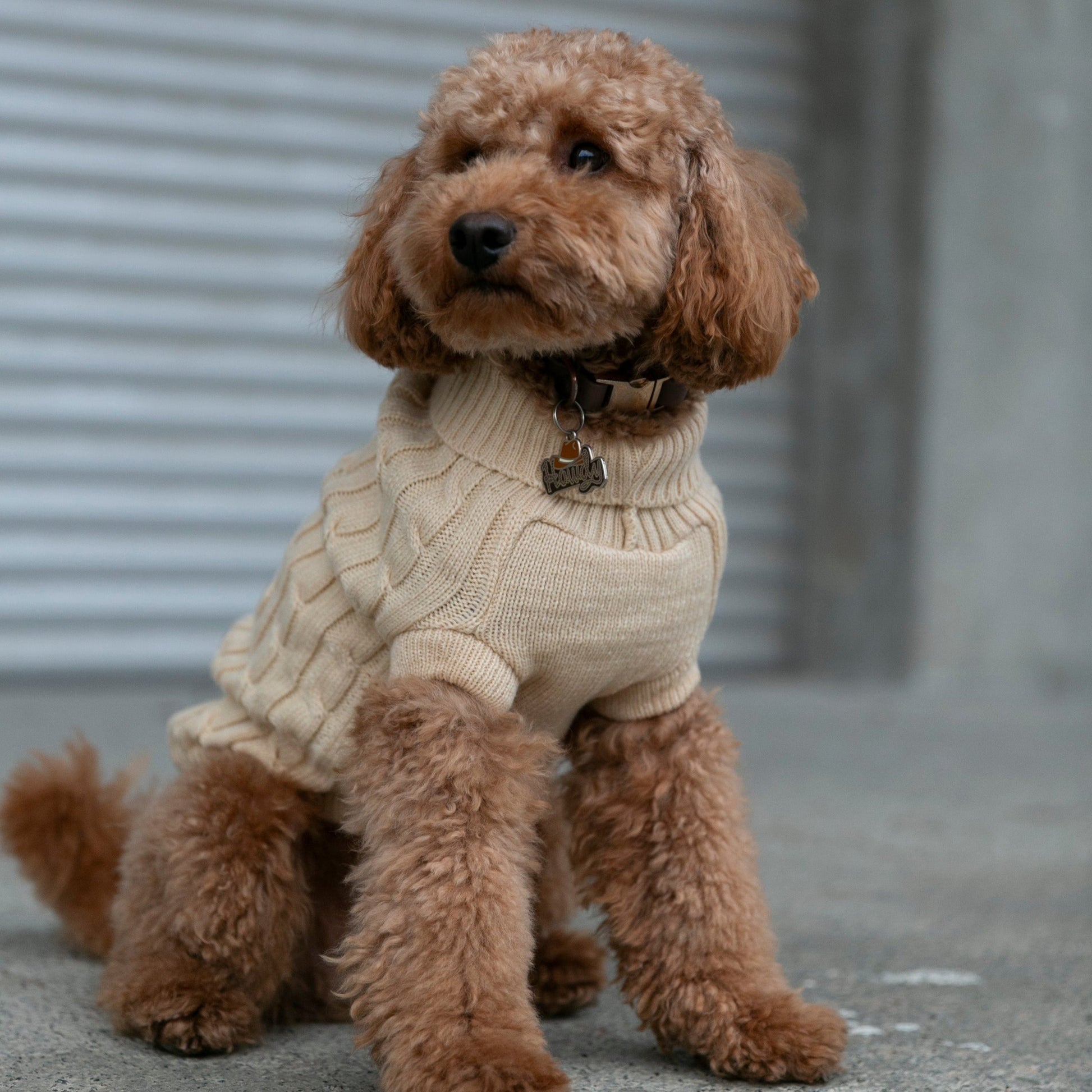 OSSO BLU - Hundepullover aus Wolle in Beige - OSSO BLU