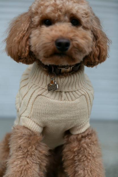 OSSO BLU - Hundepullover aus Wolle in Beige - OSSO BLU
