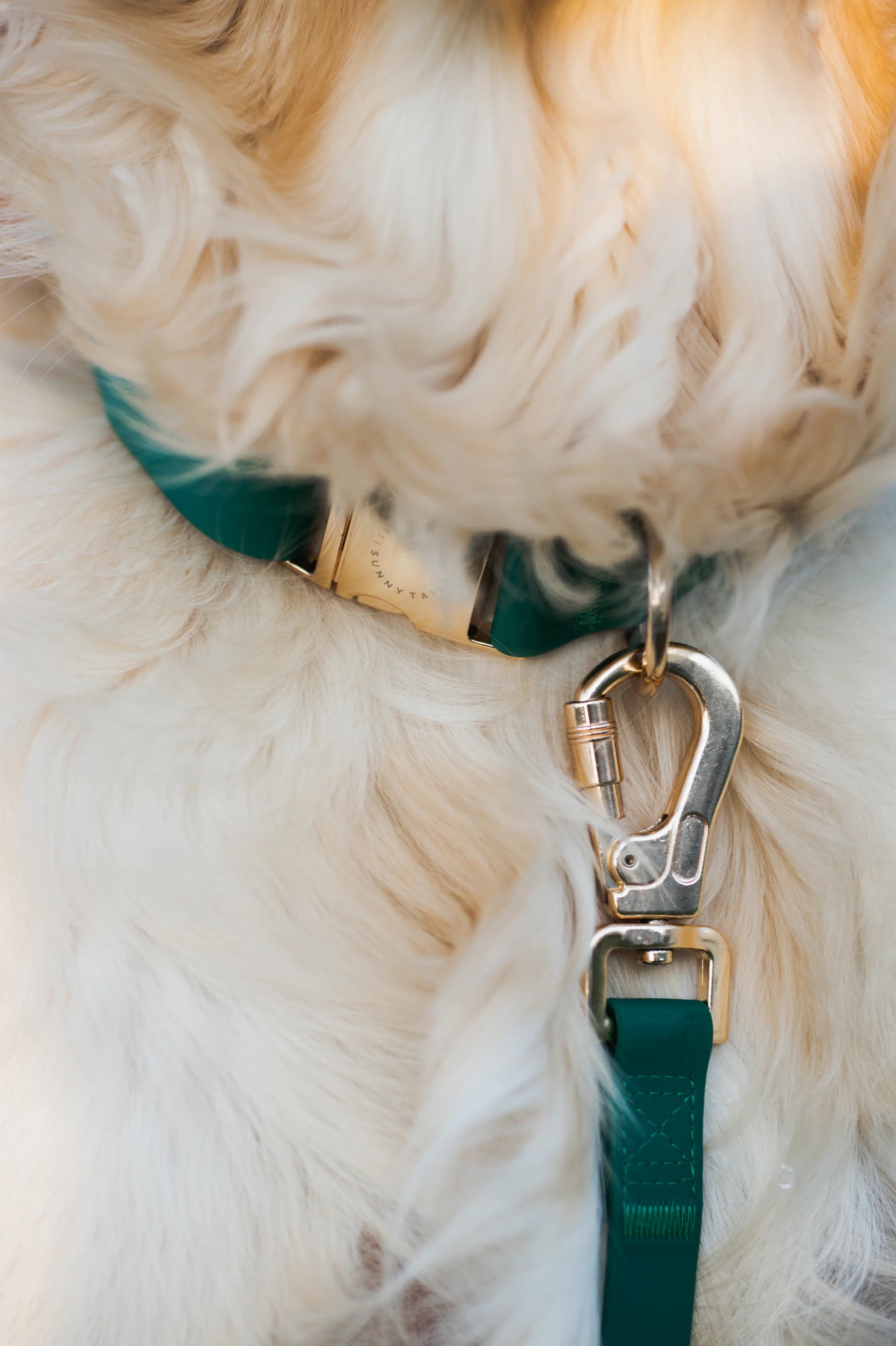 SUNNY TAILS - Meadow Green 4-in-1 Konvertierbare & Multifunktionale Hundeleine - OSSO BLU