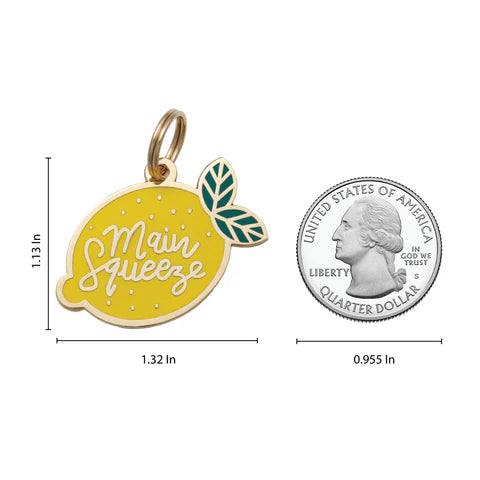 TWO TAILS PET COMPANY - Main Squeeze Pet ID Tag - OSSO BLU