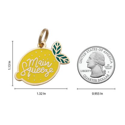 TWO TAILS PET COMPANY - Main Squeeze Pet ID Tag - OSSO BLU
