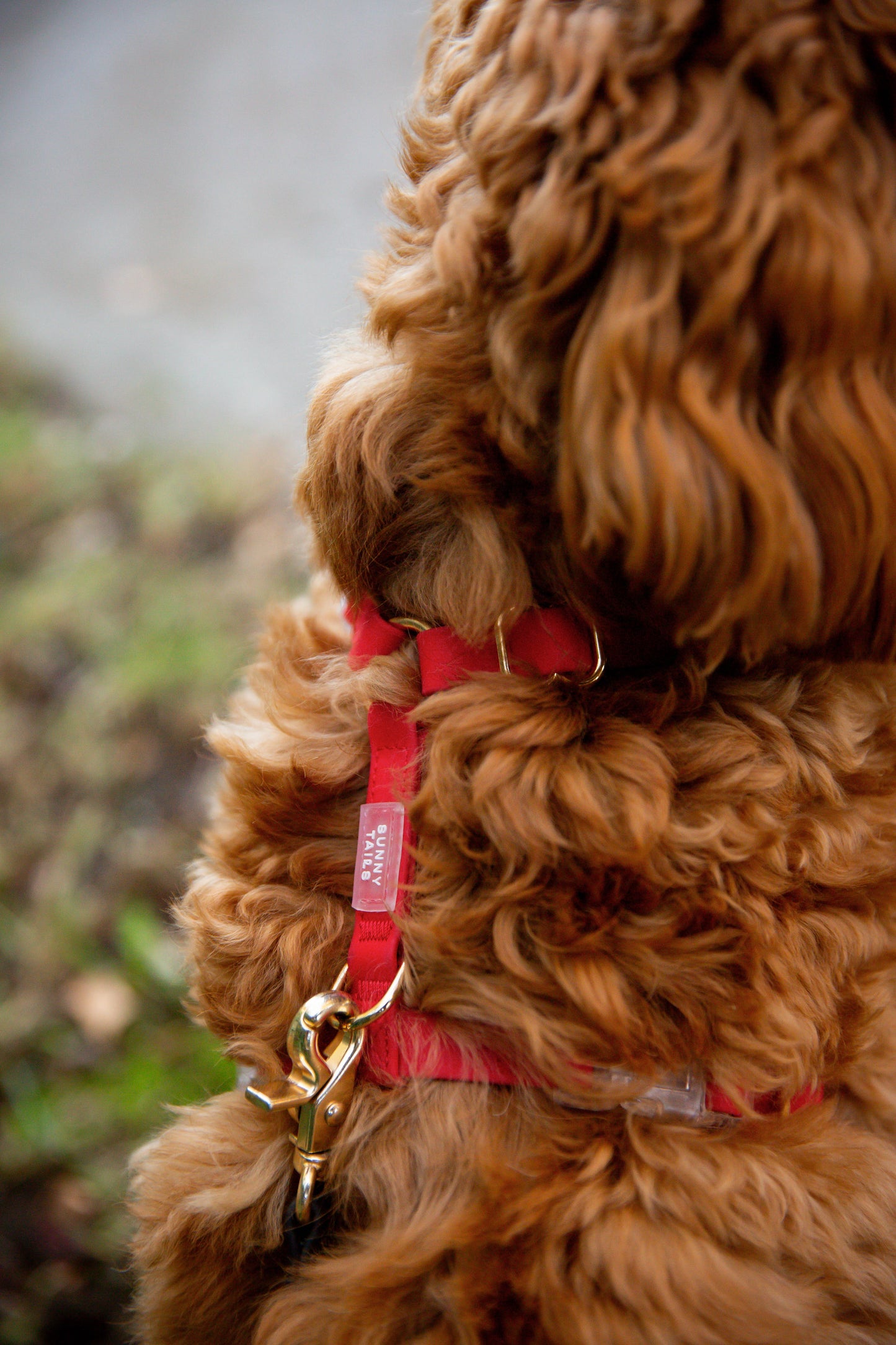 SUNNY TAILS - Wasserdichtes Hundegeschirr - Cherry Red - OSSO BLU