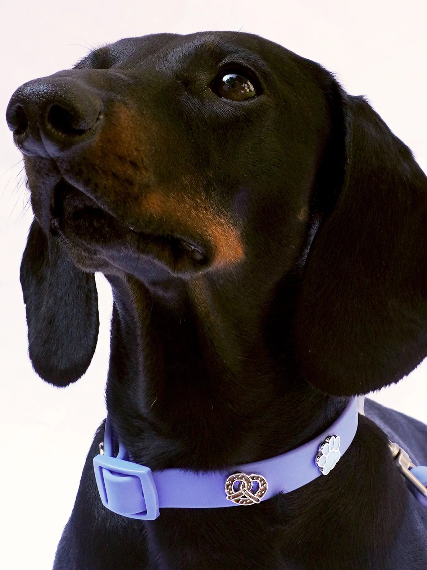 PAWPOPZ – Charm „Breze“ - OSSO BLU