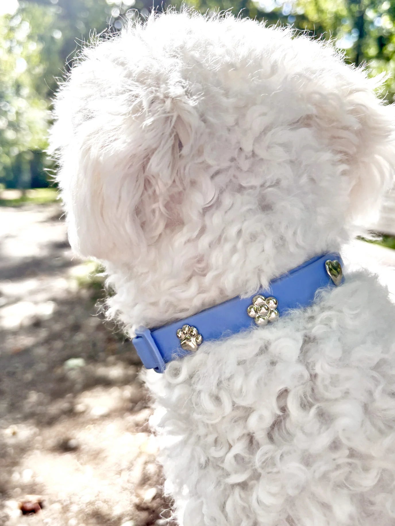 PAWPOPZ – Charm „Pfote Silber“ - OSSO BLU