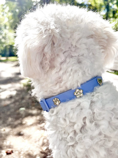 PAWPOPZ – Charm „Pfote Silber“ - OSSO BLU