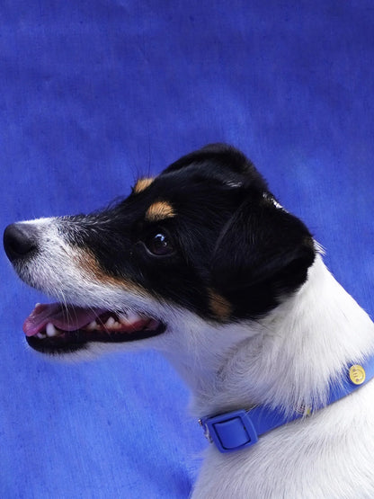 PAWPOPZ – Charm „Happy Face“ - OSSO BLU
