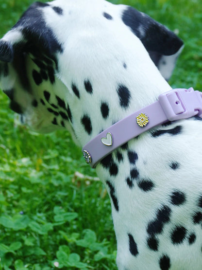 PAWPOPZ – Charm „Herz“ - OSSO BLU
