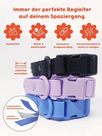 PAWPOPZ – Personalisiertes Hundehalsband - Lila - OSSO BLU