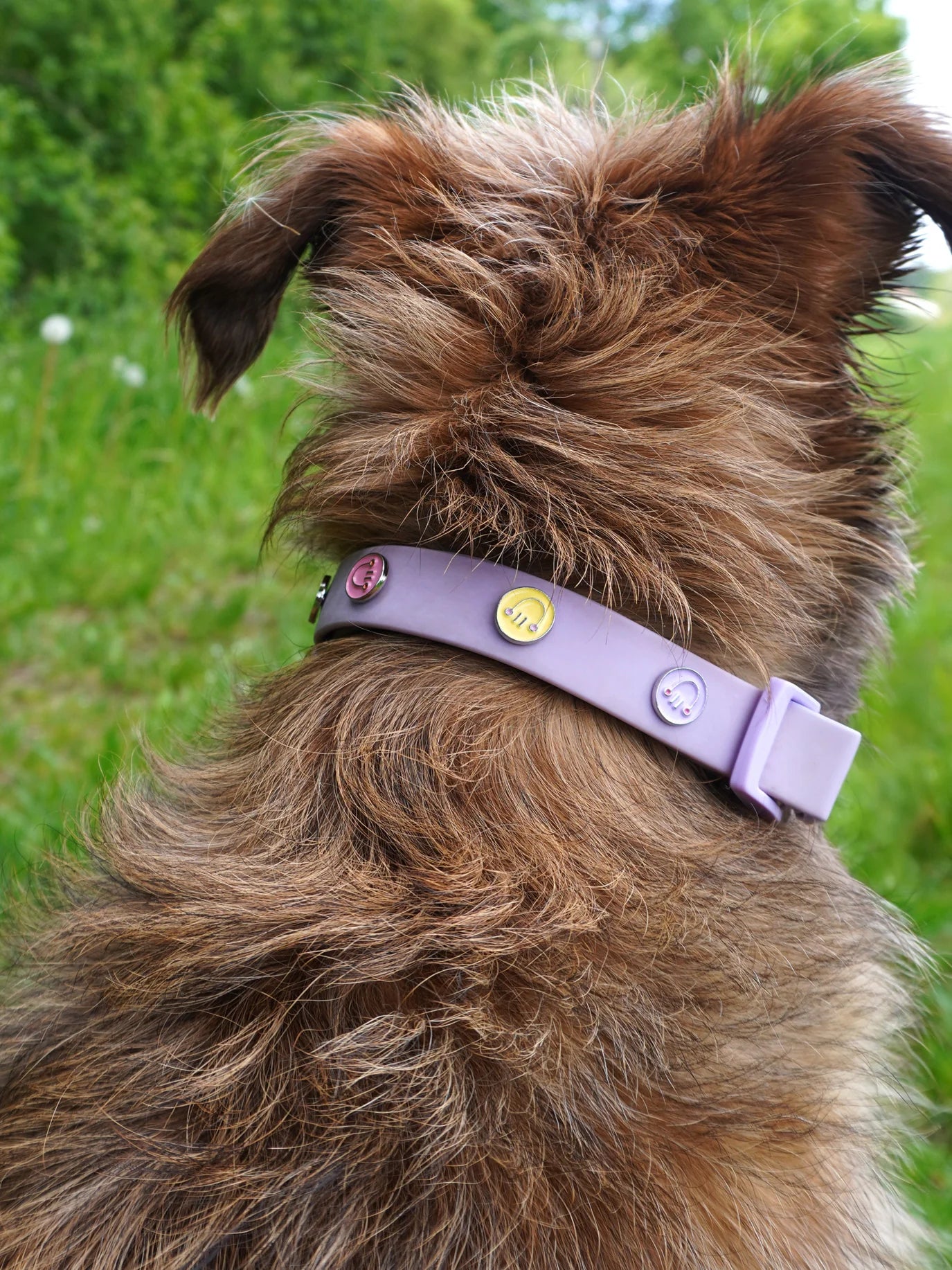 PAWPOPZ – Charm „Happy Face“ - OSSO BLU