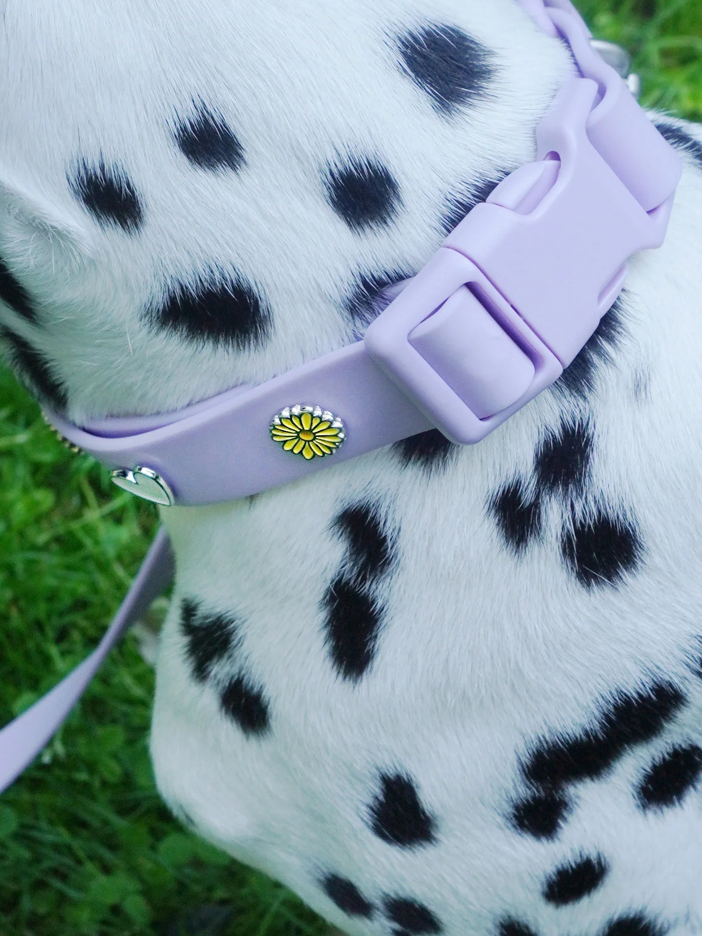 PAWPOPZ – Charm „Blume“ - OSSO BLU