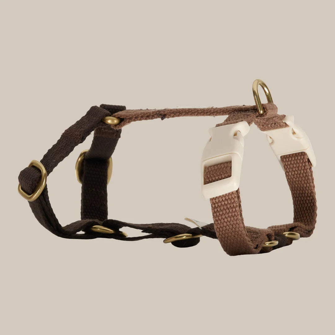 DREW'S DOGWEAR - Pettorina regolabile Chocolate con dettagli dorati