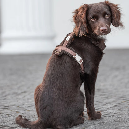DREW'S DOGWEAR - Pettorina Teddy (marrone)