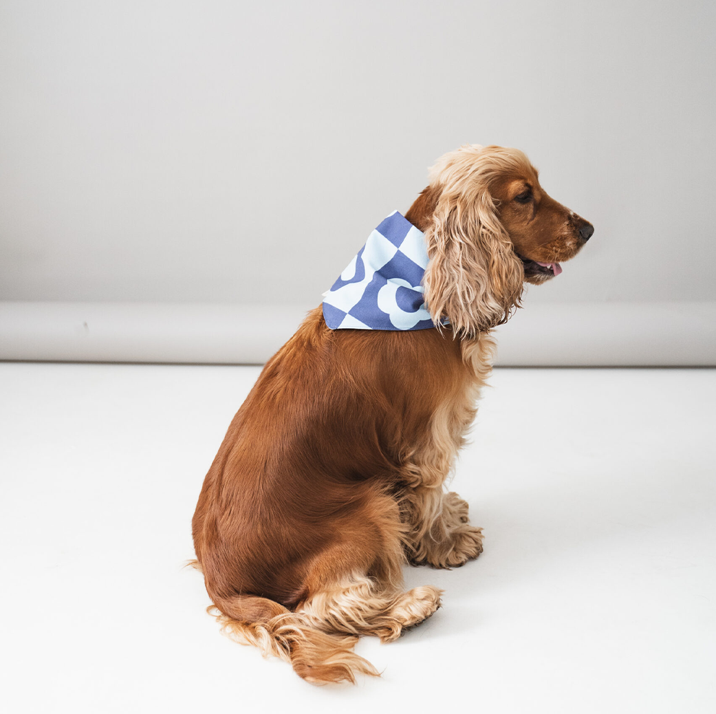 LOU & CO. - Foulard "Fiori Blu"