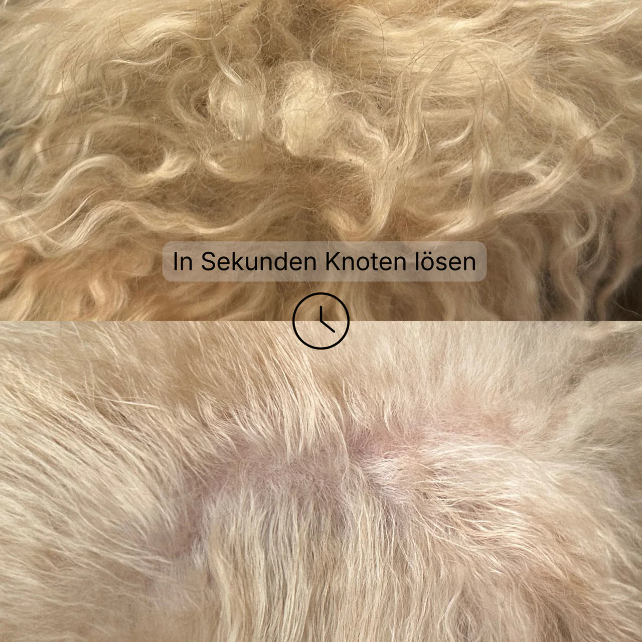 GIOLA BEAUTY - Fell & Hautöl für Hunde - OSSO BLU