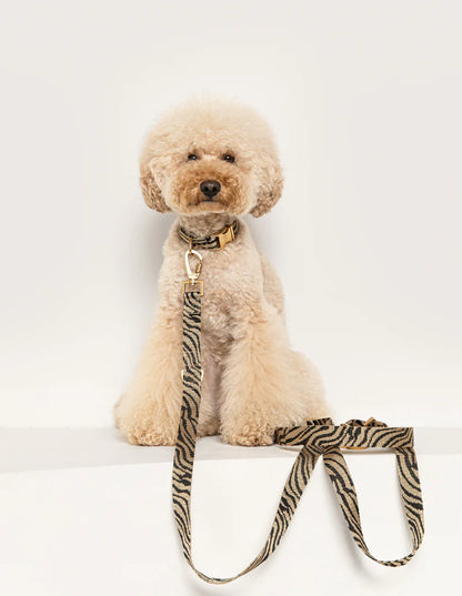 DOGGUO - Zebra Halsband – Beige/Black - OSSO BLU