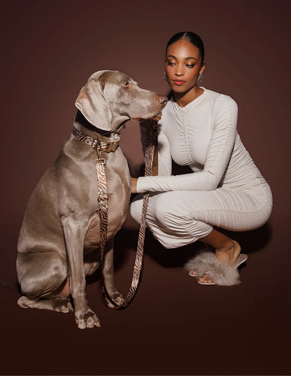DOGGUO - Zebra Leine – Brown/Beige - OSSO BLU