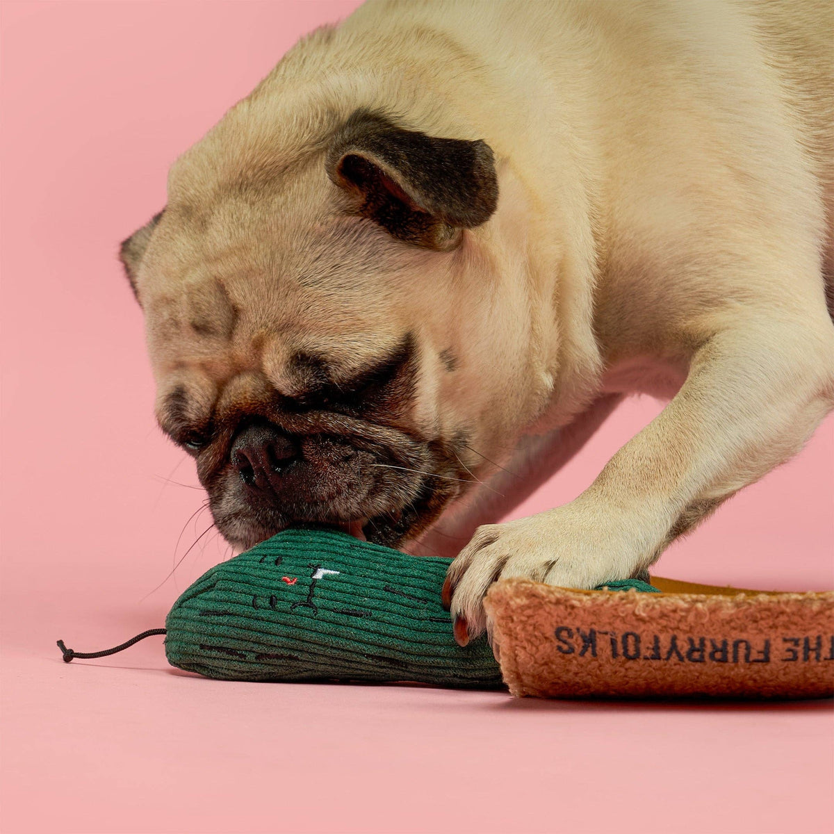 the furryfolks - Nosework-Hundespielzeug „Fried Pickle“ - OSSO BLU