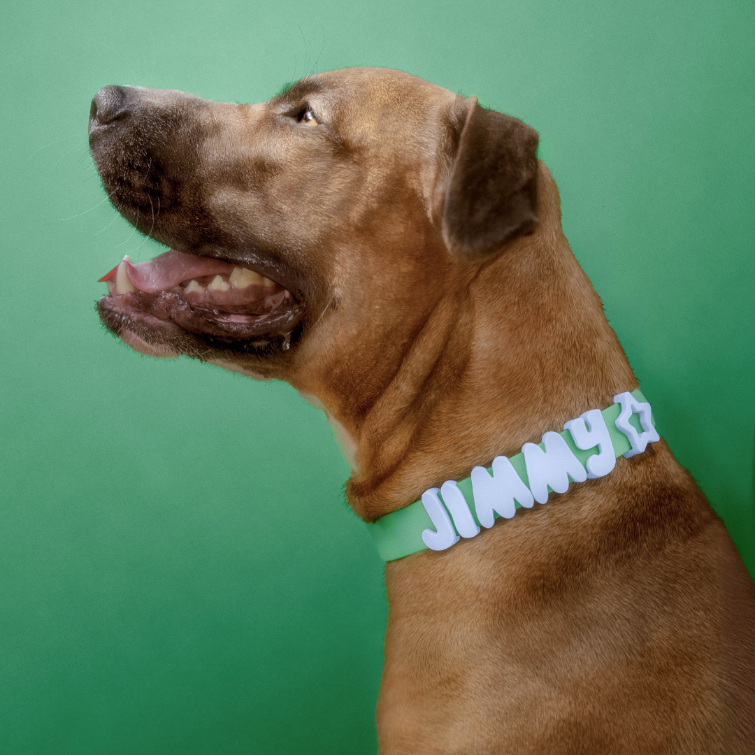 Springland Pets - Wasserdichtes & Verstellbares Hundehalsband (6er Pack) - OSSO BLU