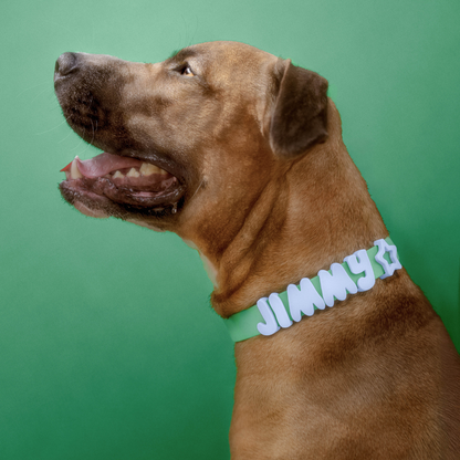 Springland Pets - Wasserdichtes & Verstellbares Hundehalsband (6er Pack) - OSSO BLU