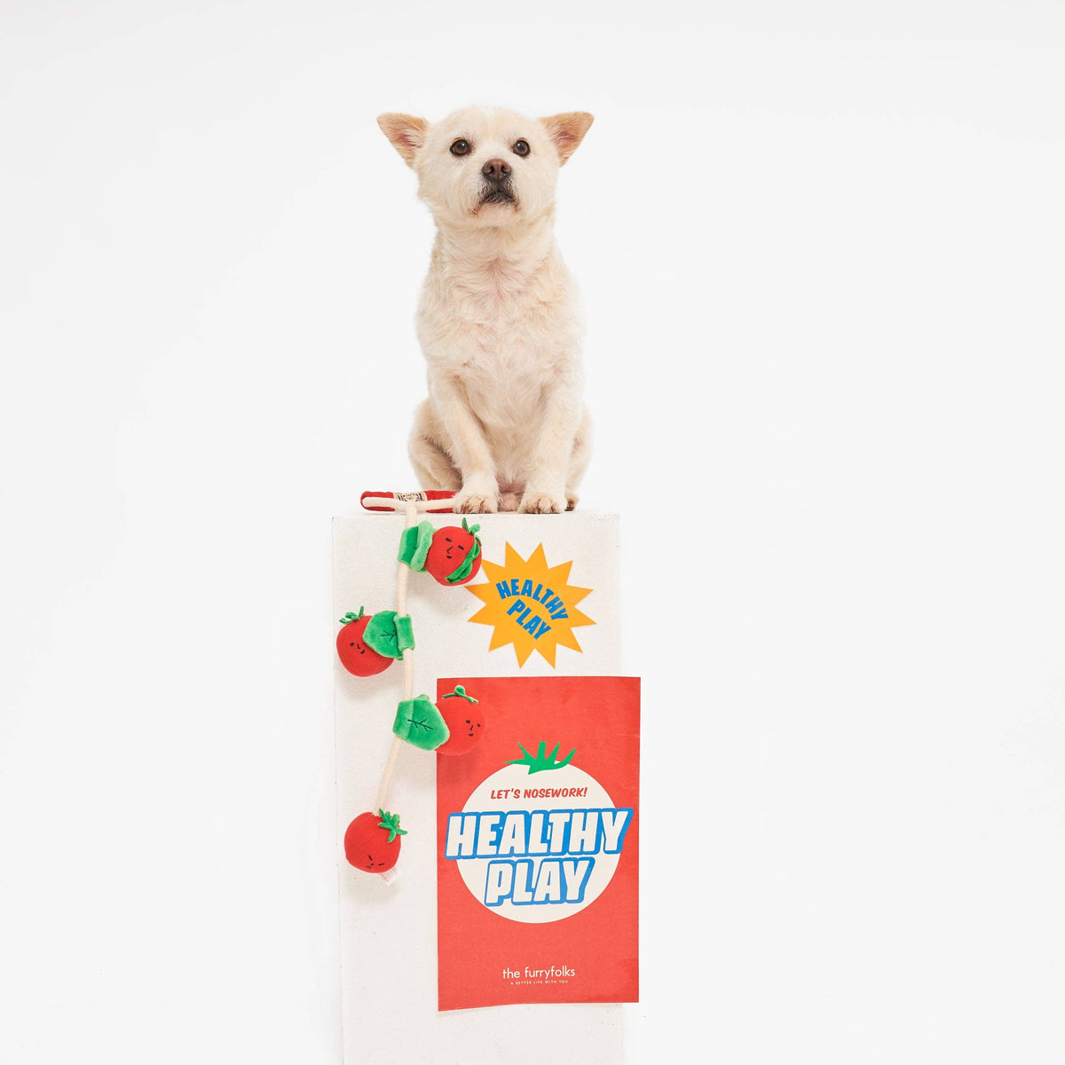 the furryfolks - Cherry Tomato Such- und Zerrspielzeug für Hunde - OSSO BLU