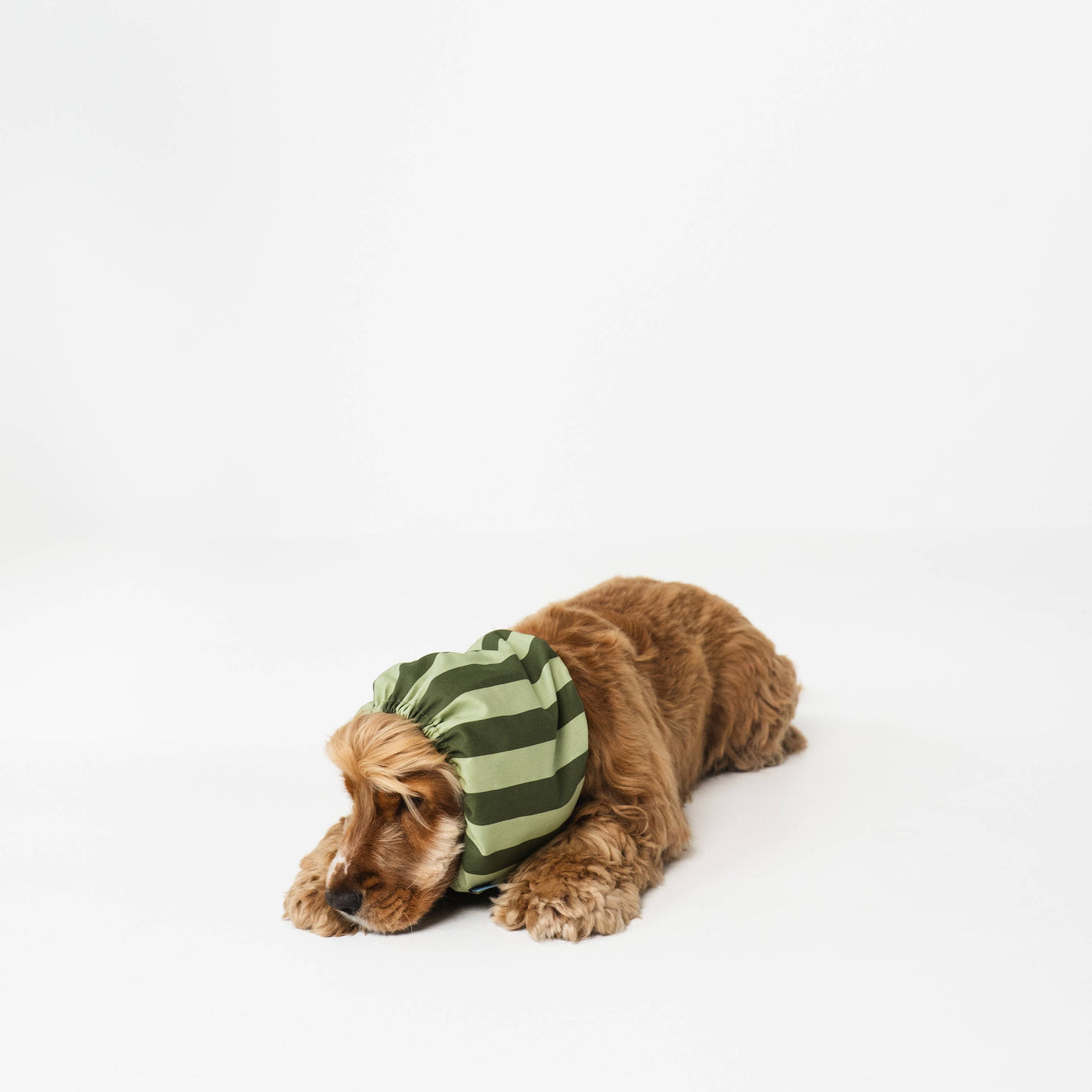 LOU & CO. - Paraorecchie elegante per cani "Stripes Green"