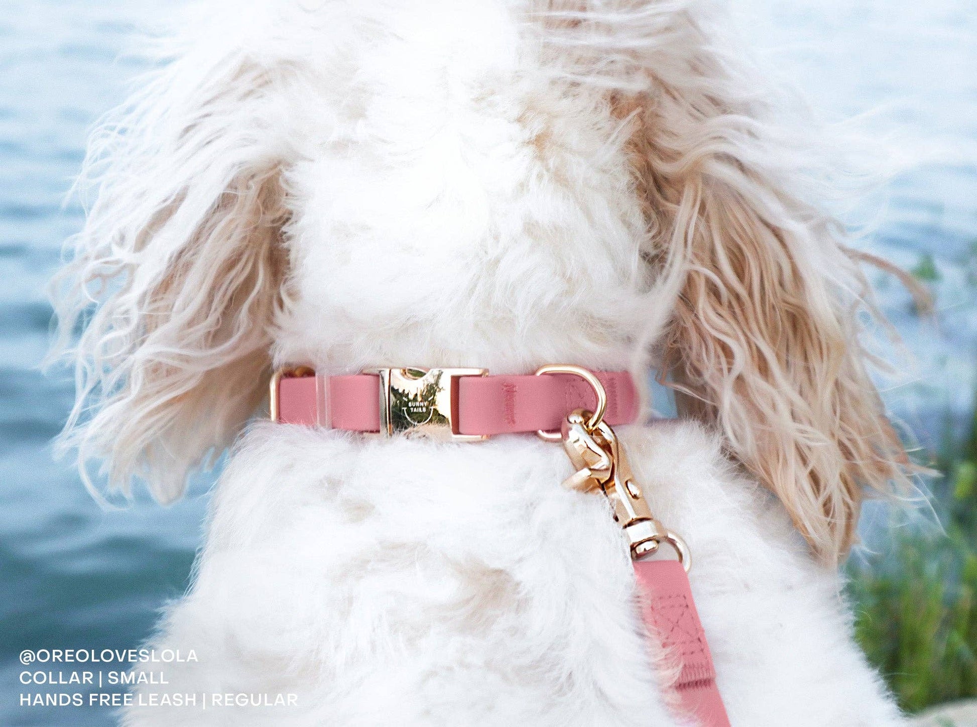 SUNNY TAILS - Wasserdichtes Hundehalsband - Perfect Pink - OSSO BLU