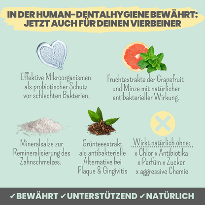 NOMS+ - Dentalspray für Hunde & Katzen – Natürliche Zahnpflege gegen Zahnstein & Mundgeruch - OSSO BLU