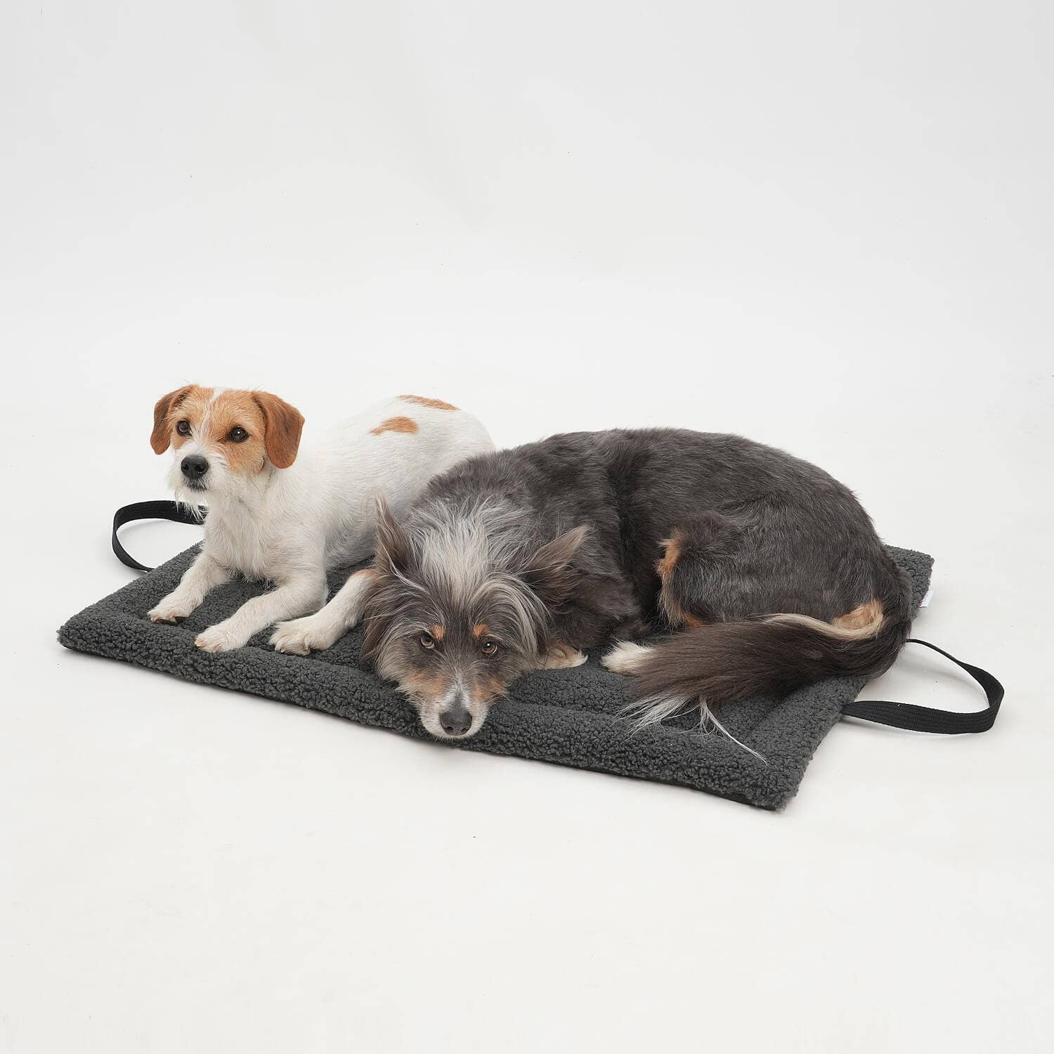 DOGS IN THE CITY® - Reisematte Matti – Graphit - OSSO BLU